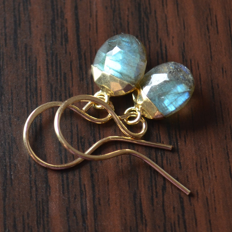 Labradorite Drop Earrings in Gold