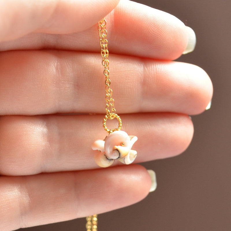 Sea Shell Necklace, Real Seashell, Pale Pink